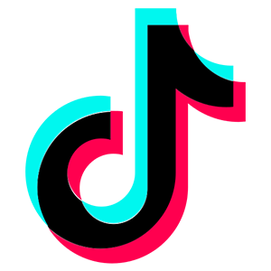 TikTok Ads Manager campaign dashboard for video ad creation